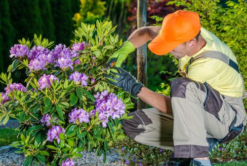 Variety of plants suitable for Harrow's climate in a landscaped garden