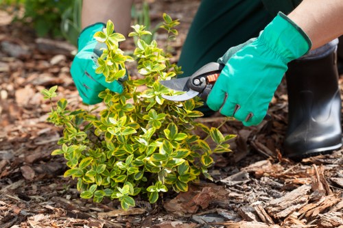Spring garden preparation in Harrow with blooming plants