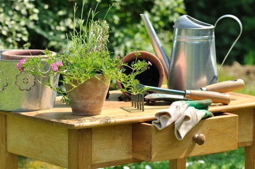 Professional garden maintenance tools and equipment