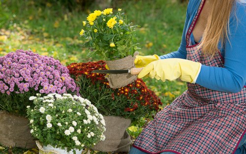 Professional landscapers working in Harrow