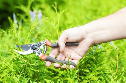 Professional landscape gardener designing a Harrow garden