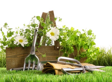 Professional lawn mowing service in Harrow
