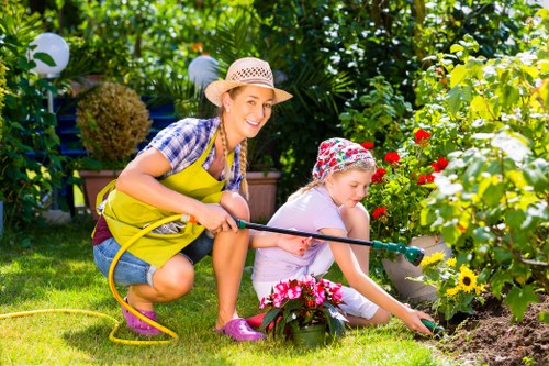 Tree removal process by experienced Harrow professionals