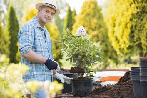 Eco-friendly garden practices with rainwater harvesting in Harrow