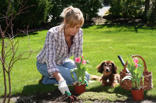 Eco-friendly garden practices with native plants in Harrow
